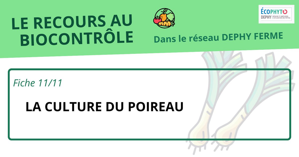 [Fiche #biocontrôle] le #poireau

Etude sur la culture du poireau dans le réseau #DEPHY sur 230 systèmes de cultures :
👉 46% en #AB
👉 En AB, 100% en plein champ
👉 En conventionnel, 97% en plein champ

A découvrir : cutt.ly/RekPsTBr
#maraichage #agriculture