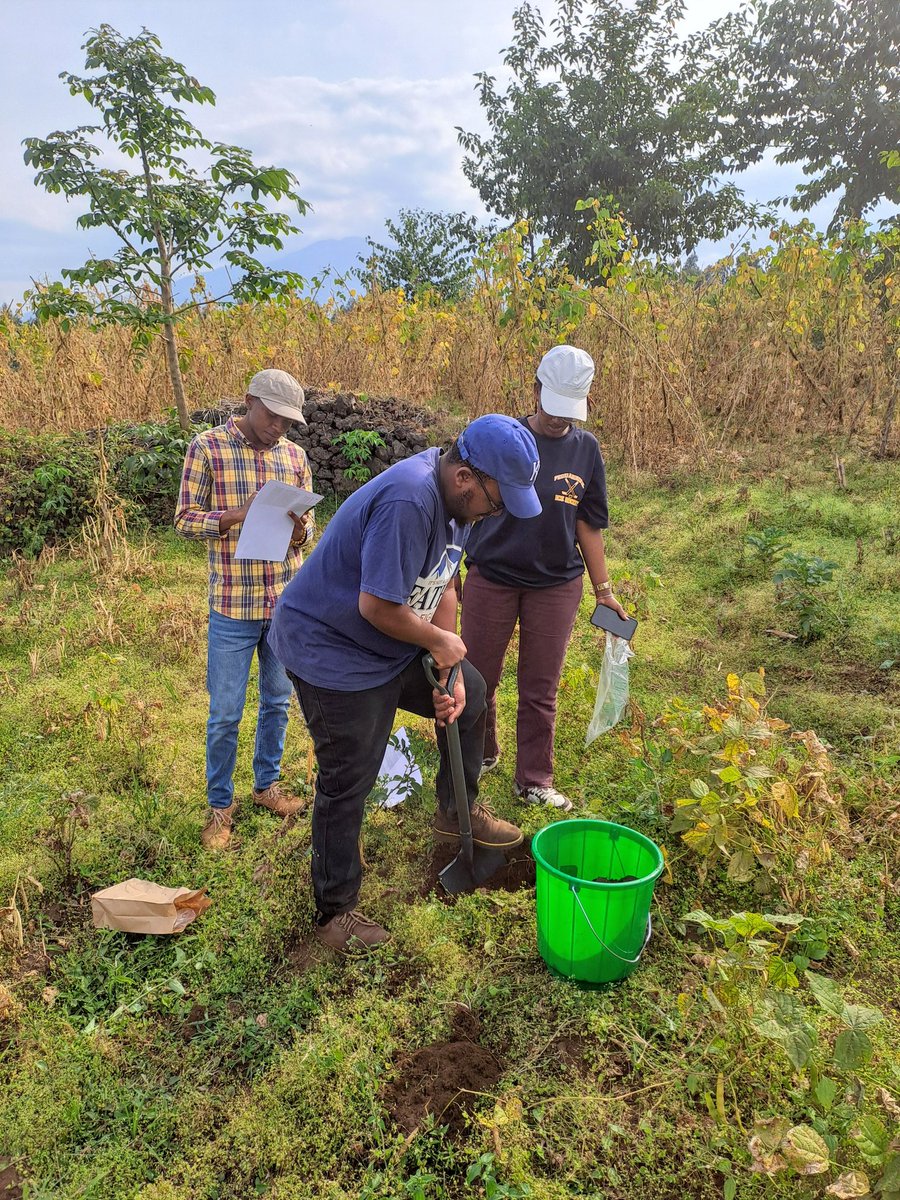 ganzafrica's tweet photo. GanzAfrica fellows prepping a demonstration farm 🌱 for the Musanze Climate Adaptation project.

Soil testing is underway to ensure a solid foundation and controlled environment for the research and project. 

👉 https://t.co/SVeSAs0JEB https://t.co/xWPc9z9Nng