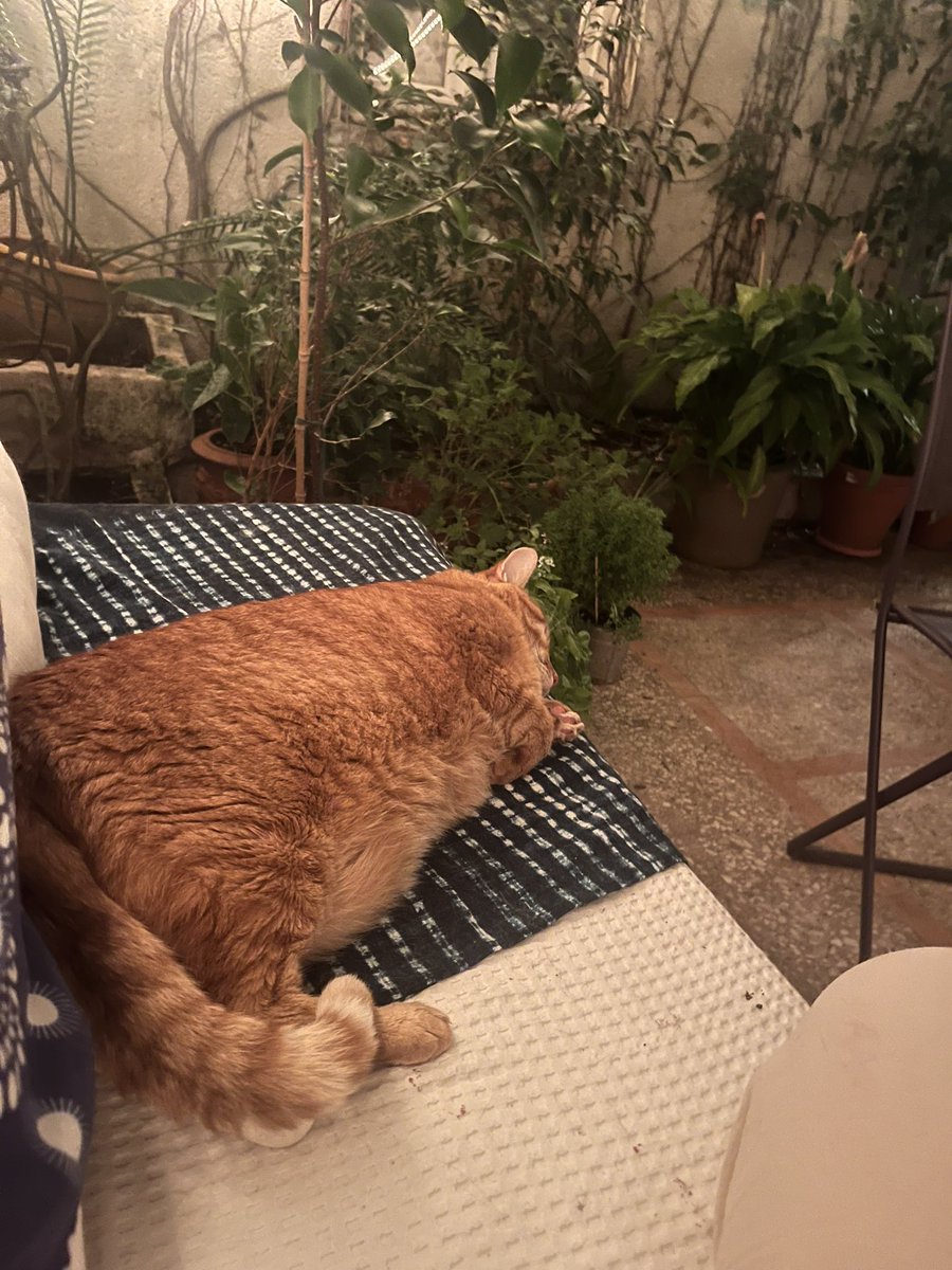 Delphine Espagno tweet media