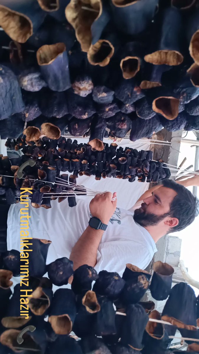 emredogan38's tweet photo. Gaziantep'in bereketli topraklarında güneşle yoğrulmuş şifa kaynağı ürünler sofranızı renklendirmek için hazırlanıyor. Kurutmalık zamanı 🍆🌶️🫑 #Gaziantep #kurutmalık #patlıcan #kuruluk https://t.co/NU0MDLRT1j