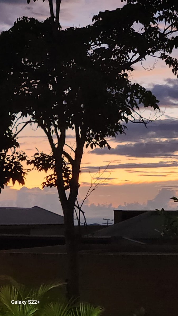 LuisAGonzalo10's tweet photo. El mundo se divide entre quienes piensan que “nada hay nuevo bajo el sol” y quienes saben que todo puede empezar de nuevo. Tú eres de los segundos. Feliz día! https://t.co/pD1lk8Udoh