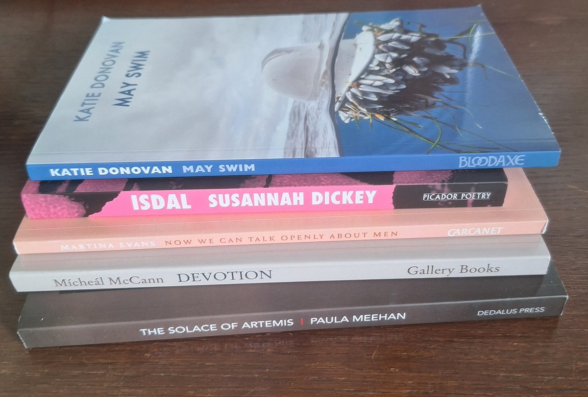 SineadGrif's tweet photo. Fantastic workshops with @DonaldsonMoyra and fellow writers, thanks to @FreeToWrite2024 @The_JHS @PENIreland and new reading from @NOALIBISBOOKS https://t.co/7lVw0XKW0p
