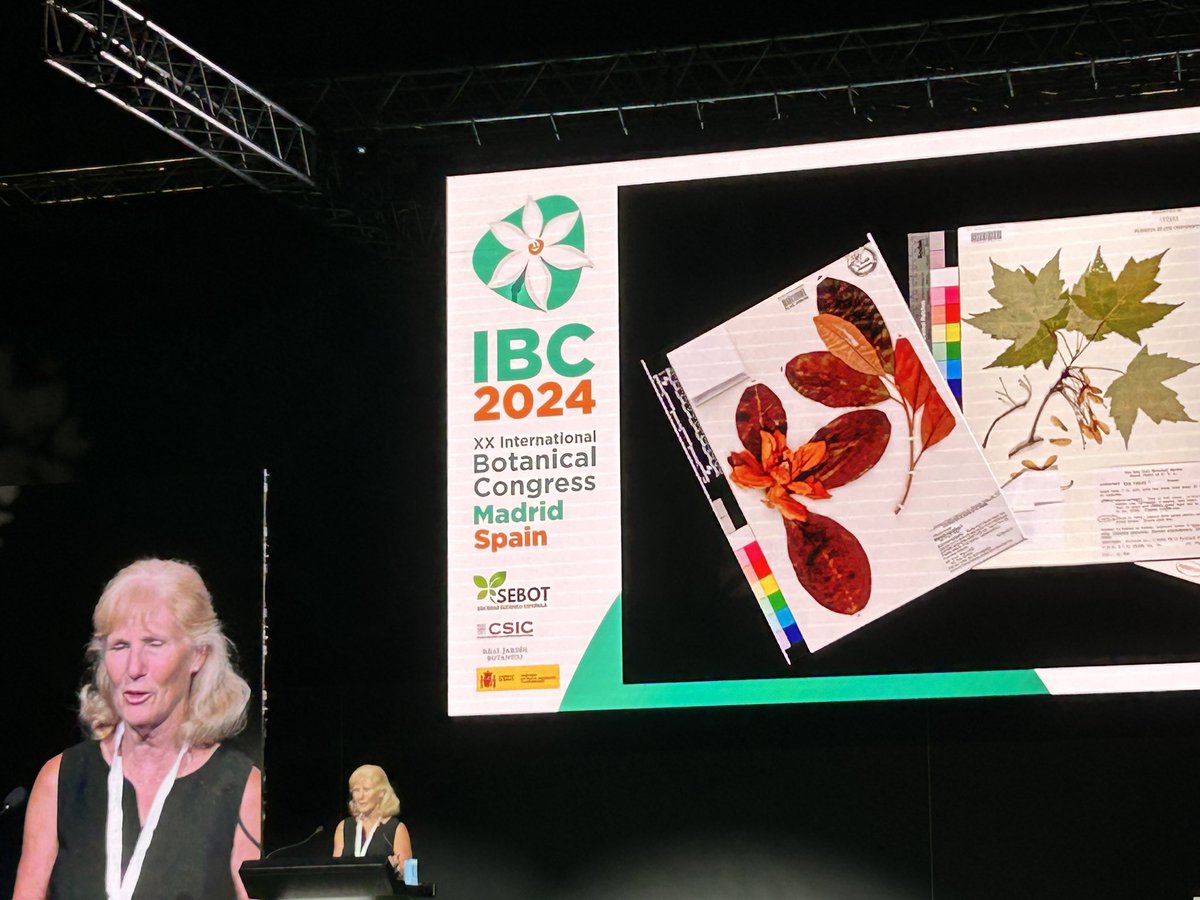 Sandra Knapp tweet media