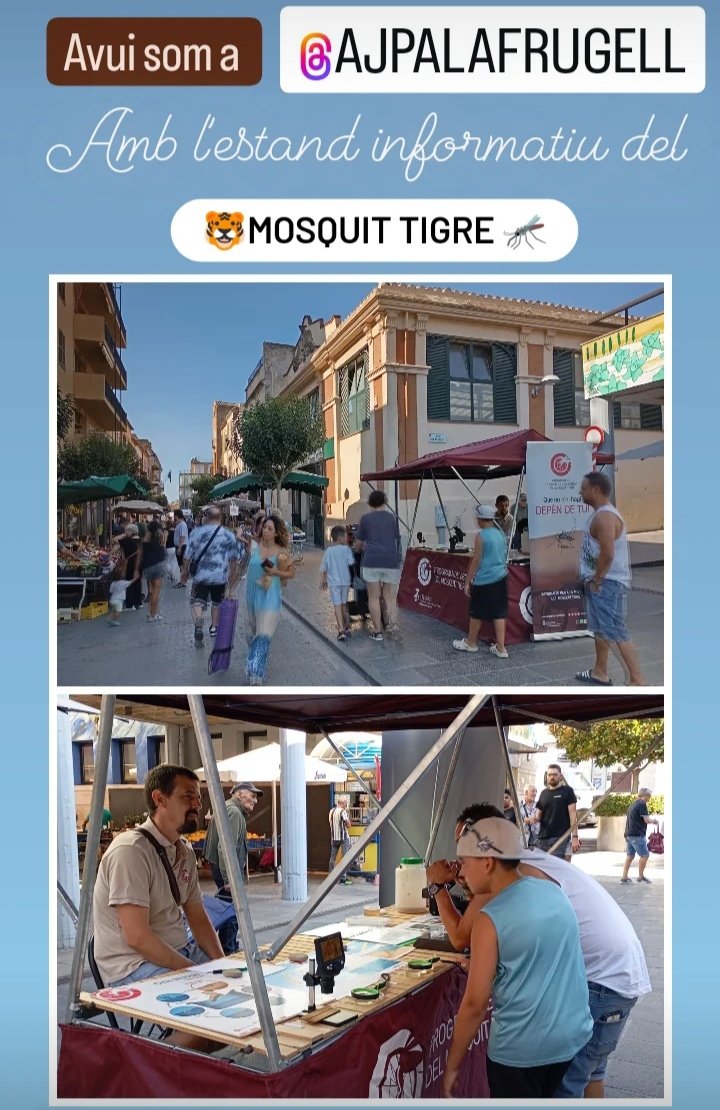 programatigre tweet media