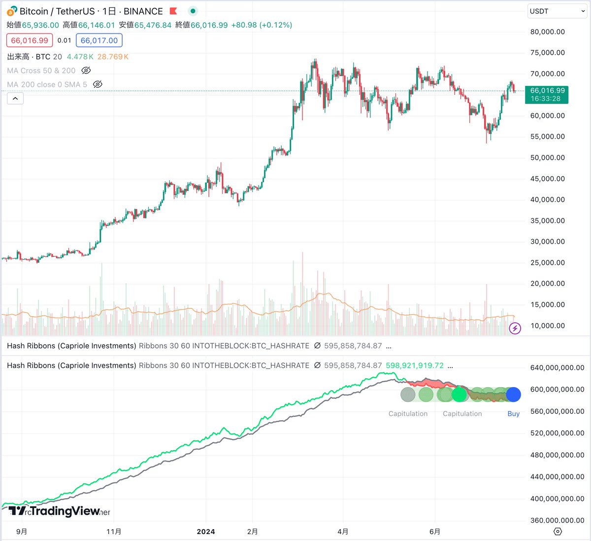 速報】ビットコインのハッシュリボン（HashRibbons）、日足にBuyサインが点灯🔥 - ハッシュリボンは、BTCのハッシュレートに基づき、マイナー動向から相場を予見するための指標の1つ  - 過去の実績から、Buyサイン点灯後にBTC価格が上昇する確率は非常に高く、比較的信頼度 ...