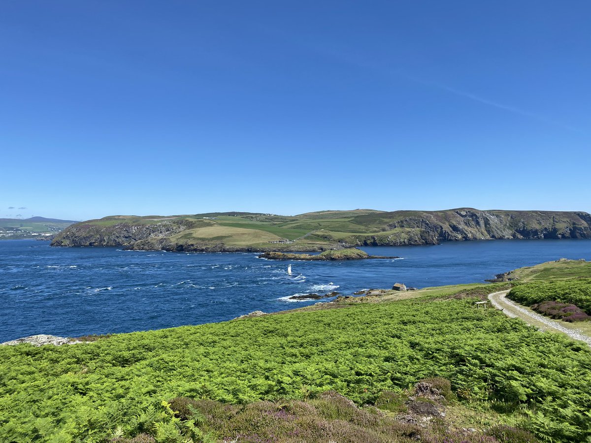 We had a great day yesterday on the Calf of Man with <a href="/Microgaming/">Microgaming</a> taking down the decoy puffins for this season. The trip was planned in March to install the decoys but better late than never. Thanks to <a href="/Microgaming/">Microgaming</a> for their support with this project.