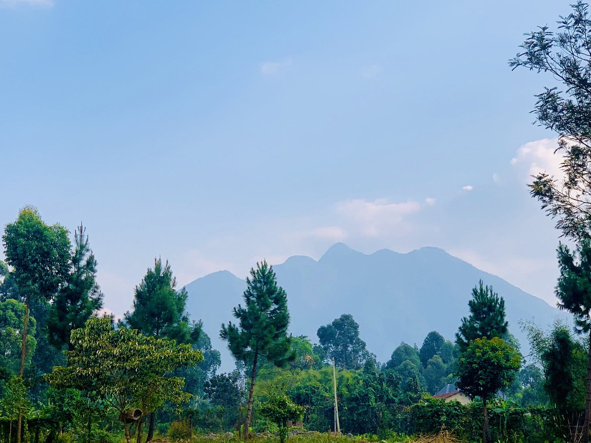 PatiePolly's tweet photo. Spent the better part of yesterday seated in a #meadow somewhere in #Kisoro watching in awe the beauty the 3 mountains; #Muhavura, #Gahinga &amp; #Sabinyo effortlessly embody. 

I prayed hard for the clouds to clear so I can have these beauties.☺️ Muhavura was quite elusive.
💚💚💚 https://t.co/0xW1FU5BlS