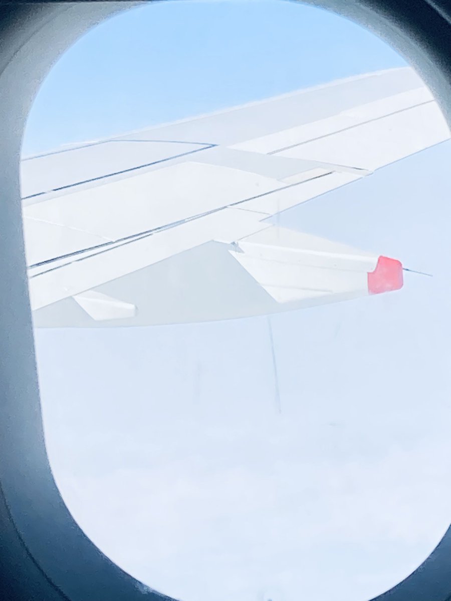 Katie Pez tweet media