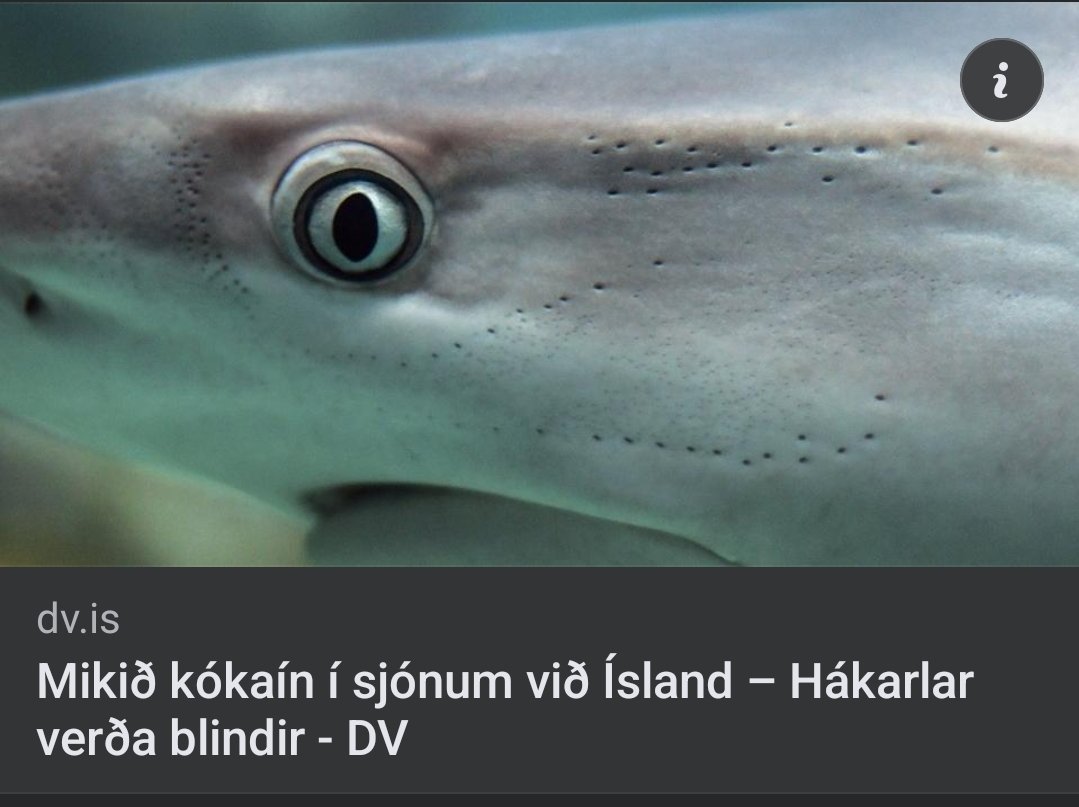 Mjög slæmt en ég verð að segja þetta er harðasta fyrirsögn sem ég hef séð í langan tíma