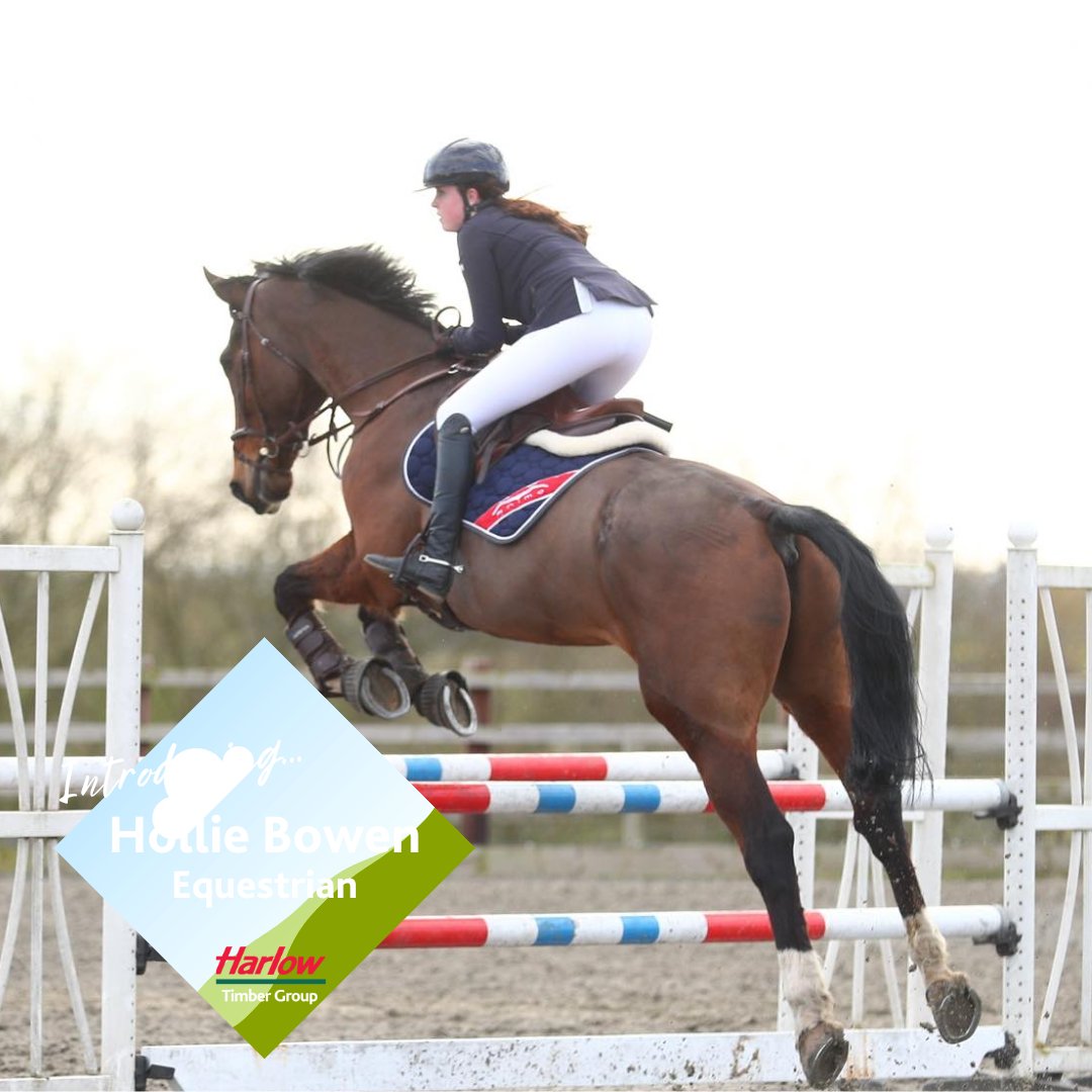harlow_timber's tweet photo. Introducing our first Harlow Stables &amp; Shelters: Brand Ambassador Hollie Bowen ! 🏇🏼
Hollie &amp; her team of 3 horses compete in British Showjumping and we’ll be supporting her over the next 12 months. https://t.co/ttO5j3BOlO