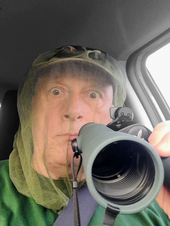 albicilla66's tweet photo. The #NLPure 14x52 #binoculars offer breathtaking observations in sunset conditions. #SwarovskiOptik NLs ergonomic wasp waist makes them comfortable to handle, while the SWAROVISION technology guarantees absolute edge sharpness & color fidelity. Now, let me test them in the field! https://t.co/ODJb0Dcqcl