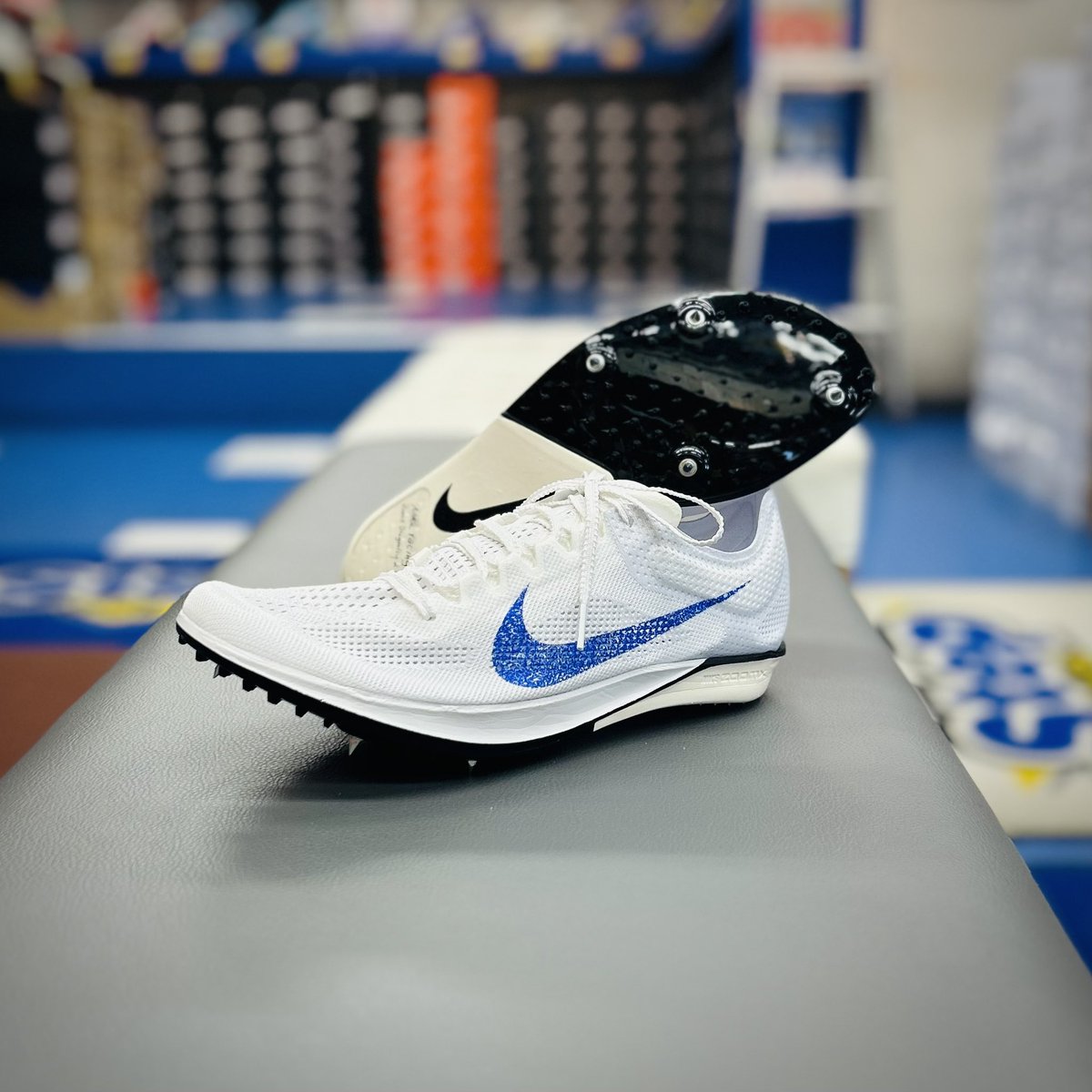 ドラゴンフライ2エリート24.5センチ