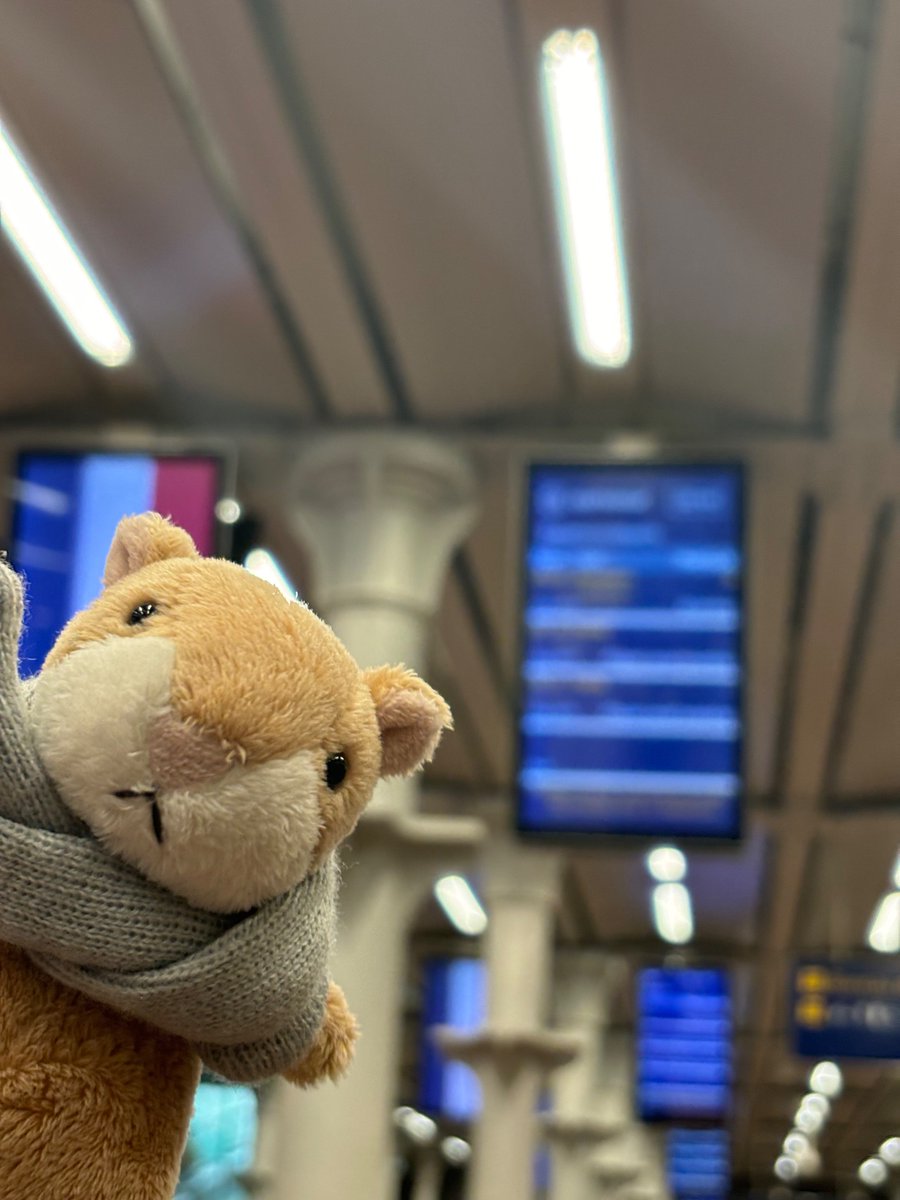 Day 1 - Cinnamon has arrived at St Pancras #olympics