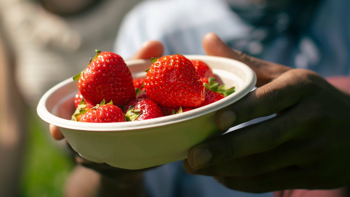 We will publish our 2024 Half-yearly Report on tomorrow, July 25, 2024 at approximately 8:30 (EEST). The release and related results presentation material will be available after publishing at huhtamaki.com/investors.

#HuhtamakiQ22024 #SustainablePackaging