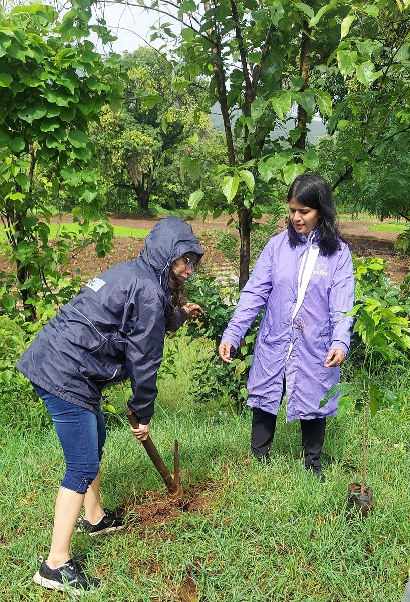 CSR_Persistent's tweet photo. We recently organized a tree plantation drive at Merawane village. The event saw enthusiastic participation from fifty-five volunteers who planted 100 new trees and maintained trees that needed care. 

#TreePlantation #CommunitySupport #Sustainability #PersistentFoundation https://t.co/9W1NA3THZn