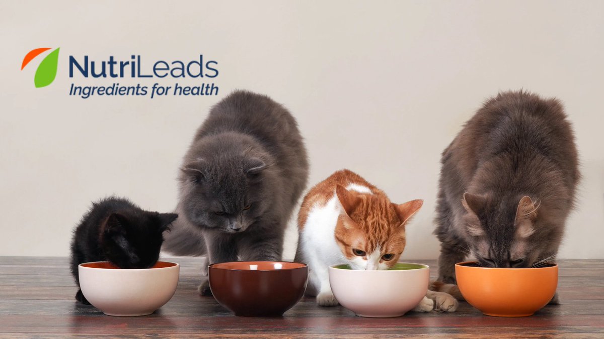 MillingMEA's tweet photo. @dsmfirmenich teams up with NutriLeads to enhance pet gut and immune health https://t.co/aO3rRcc8xZ 
#petfood #petfoodindustry #guthealth #pethealth #suppliernews #partnership #netherlands https://t.co/ldsctvXTHg