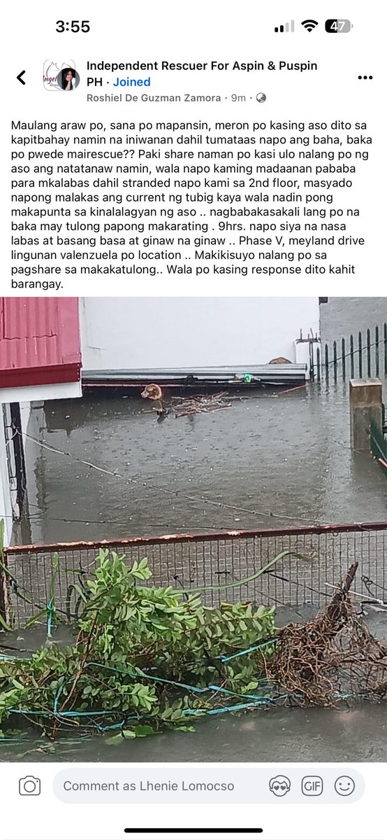 lheningb_'s tweet photo. 9hrs na si doggie nakababad :( #rescuedogs #dog #carinaph #strandeddog https://t.co/AzeEGSxitG