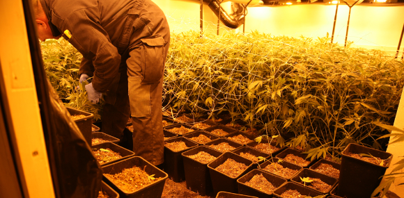 RIEC Noord-Nederland tweet media