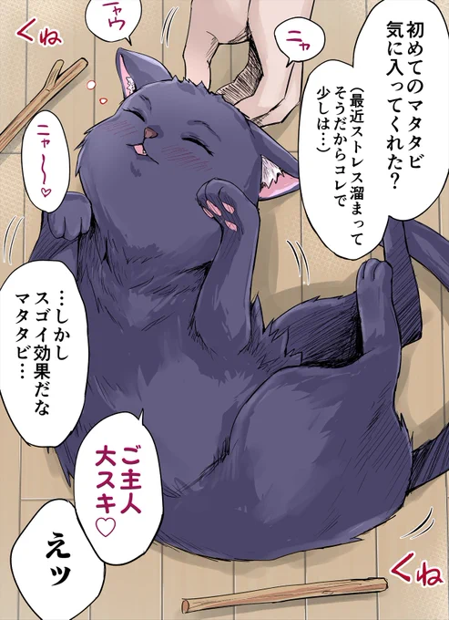マタタビで大興奮なヤンデレ飼い猫ちゃん(1/1) 