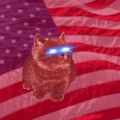 littlegraycat tweet media