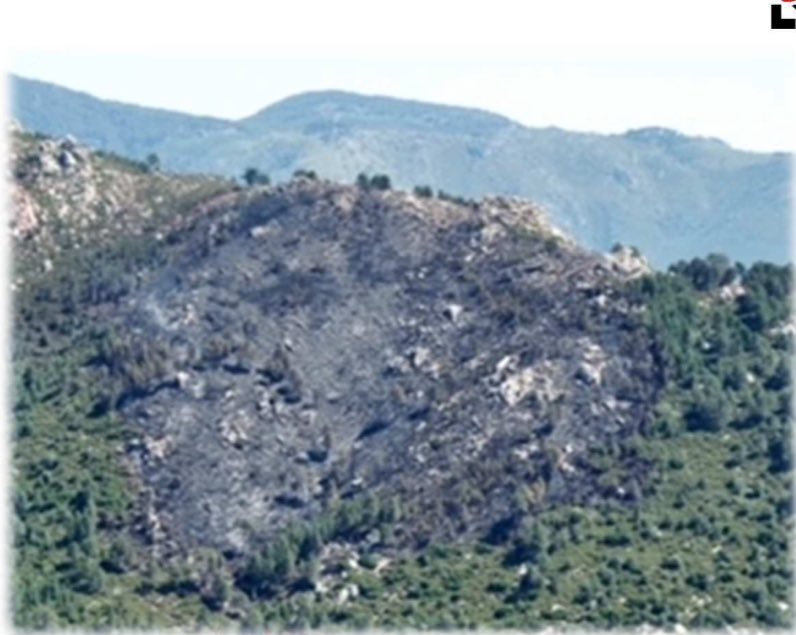 SIS 2B - Cismonte tweet media