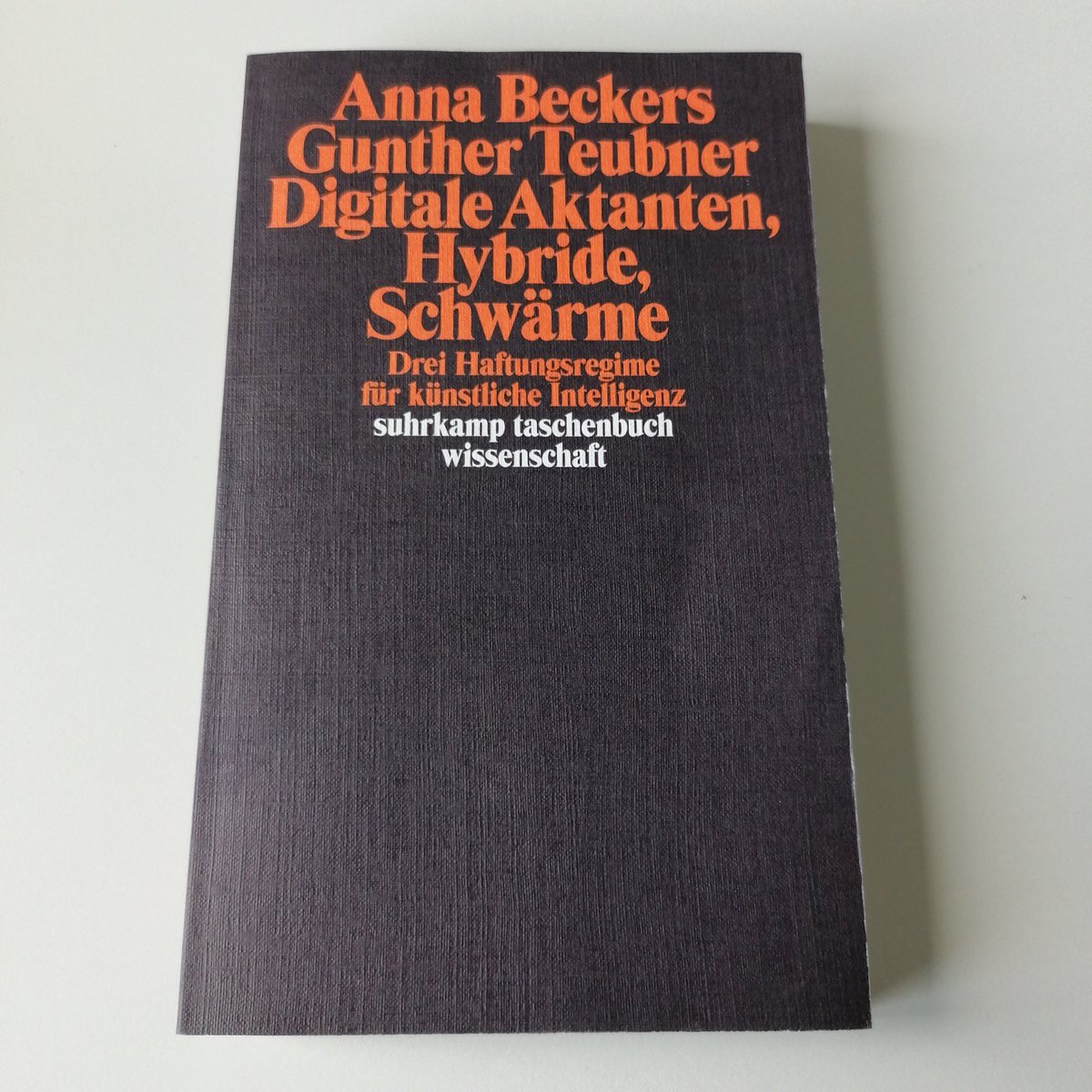 Wer trägt das Risiko, wenn künstlicher Intelligenz Fehler unterlaufen? Um die Verantwortung zu klären, entwerfen Anna Beckers und Gunther Teubner drei rechtliche Haftungsregime, für die sie Erkenntnisse aus Soziologie sowie Moral- und Technikphilosophie heranziehen. Out now!