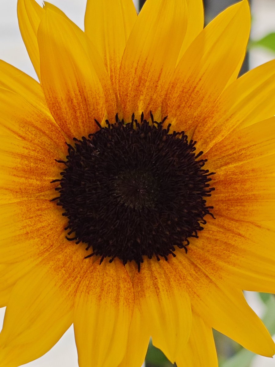 有没有组局玩的啊？聊天群什么的求拉！
昆明官渡