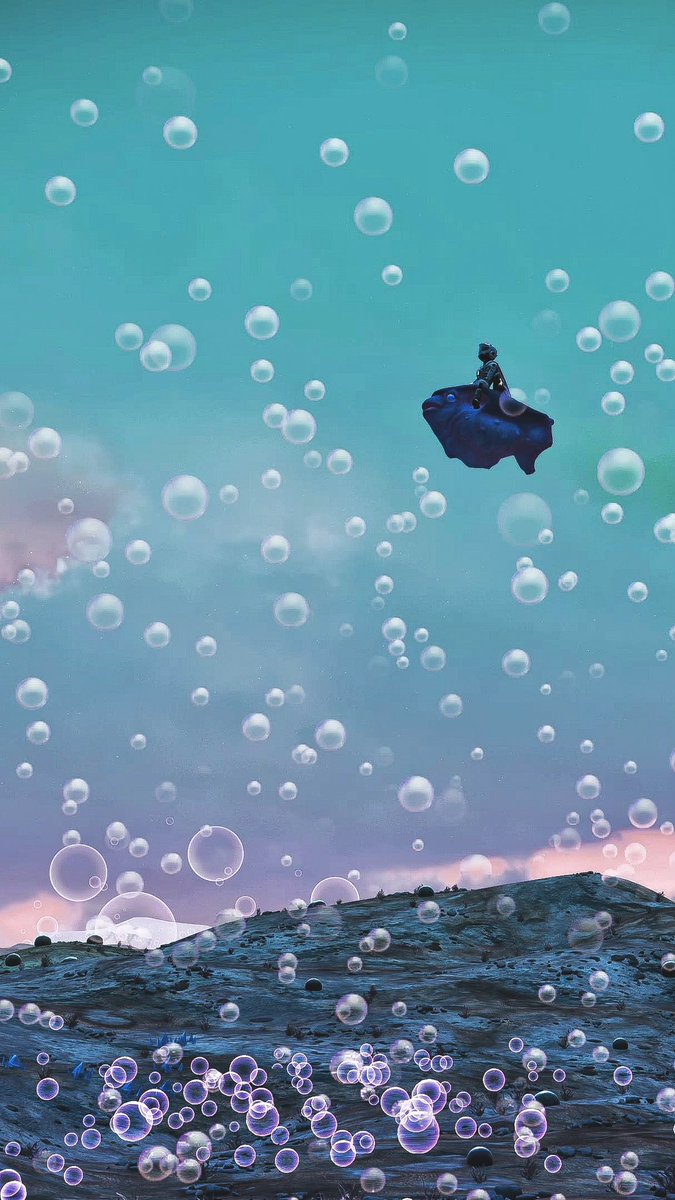 #NoMansSky  #ノーマンズスカイ　
もう１枚貼っとこw
こいつペットとして最高です‼︎ほっとけばふわふわ進むし、かわいいしw