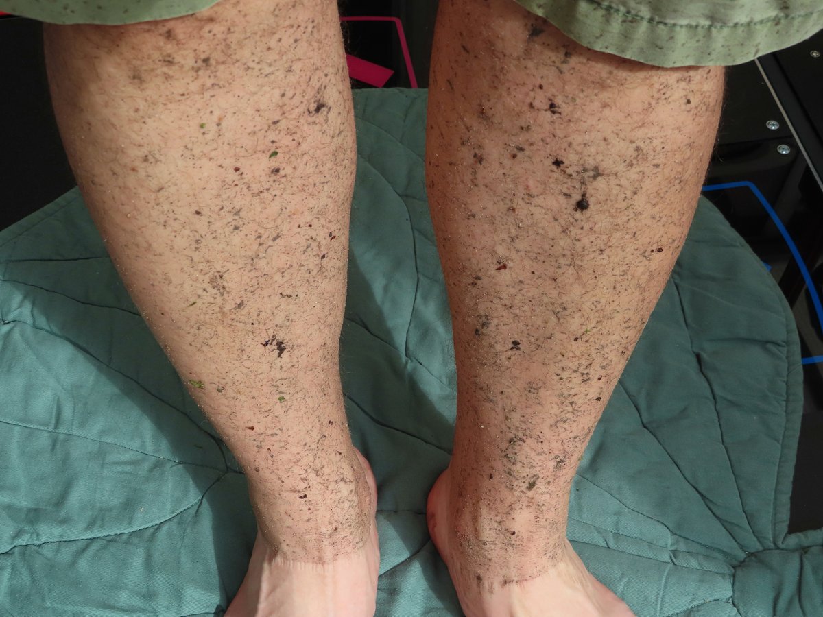 dj_damien's tweet photo. New season of #TalkingReal is dropping tonight at 8 (BST) and we're squirting real with PowerWash Simulator! Less productive than pressure washing my actual garden, but at least my legs should stay clean... https://t.co/CeDGrOQEsv