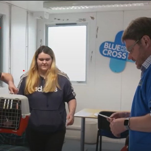 Blue Cross UK tweet media