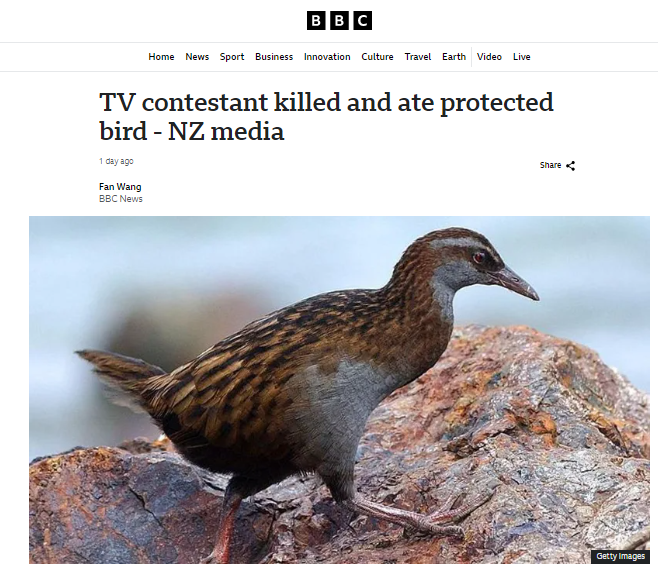 Chikichanka's tweet photo. En un reality de supervivencia los concursantes mataron un weka (Gallirallus australis), una especie especie amenazada
Alucinante
Pero no muy diferente del uso de anguilas en @MasterChef_es de @rtve, siendo la anguila una especie en mayor riesgo
https://t.co/iYg5wYXvfi https://t.co/98lIYK6MF0