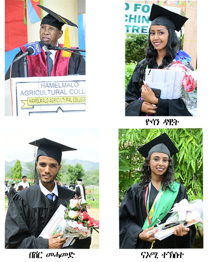 shabait's tweet photo. ሪፖርታዥ
ስነ-ስርዓት መመረቕታ ኮሌጅ ሕርሻ ሓመልማሎ
ኣብርሃም ዘርአ (ወዲ-ሃለቃ)
ስእሊ- ኣብርሃም በየነ

ወጋሕታ 20 ሓምለ 2024 ቀጽሪ ኮለጅ ሕርሻ ሓመልማሎ ዘይከም ካልእ ግዜ፡ ግዳሙን ውሽጡን ማዕሪጉ ተራእዩ - ብምኽንያት መበል 17 ስነ-ስርዓት መመረቕታ ተማሃሮ ናይ’ቲ ኮለጅ።

ገና ካብ ሰዓት 6፡30 ቅ.ቀ ኣትሒዙ’ዩ ብናይ’ቲ ዕለት ተመረቕቲን ዕንበባታት ዝሓዙ ወለድን፡ በቲ ጥዑም ናይ ወጋሕታ ኣየር ተሰንዮም ናብ ቀጽሪ ናይቲ ኮሌጅ ክውሕዙ ተራእዮም። ዕድመ ዝተገብረሎም ኣጋይሽ’ውን ብብዝሒ ክኣትው ይረኣዩ። ኣብ ገጽ ነፍሲ-ወከፍ ተመረቕቲ እቲ ዕለትን ንኣኦም ከሰንይዎም ዝመጽኡ ፈተውትን ድማ፡ ኣብ ገጾም ሓጐስ ይንበብ። ሕብረተ-ሰብ ኮለጅ ሕርሻ ሓመልማሎ’ውን፡ ስነ-ስርዓት መመረቕታ ውራዮም ንምምዕራግን ኣጋይሾም ንምቕባልን ላዕልን ታሕትን ክብሉ ተዓዚብና።

ዝሓለፈ ቀዳም 20 ሓምለ 2024 ኮለጅ ሕርሻ ሓመልማሎ፡ ብዝተፈላለየ ዓውድታት ዘምሃሮም 350 ተማሃሮ ብዲግርን ዲፕሎማን ኣመሪቑ።

እቲ፡ ላዕለዎት ሰበስልጣን መንግስትን ግንባርን፡ ኣብ ኤርትራ ዝመደበሮም ዲፕሎማስኛታትን ዕዱማት ኣጋይሽን ተመረቕትን ወለዲን ዝተረኽብሉ ናይ መመረቕታ ስነ-ስርዓት፡ ልክዕ ሰዓት 8፡ 00 ቅ/ቐ ብዝኽረ ሰማእታት ፈሊሙ። ዝርዝር ትሕዝቶ ብኣዋሃሃዲ መደብ ምስ ተነበበ ድማ፡ ተመረቕቲ ብጣቕዒት ወለድን ዕዱማት ኣጋይሽን ተሰንዮም በቦታኦም ሓዙ። ብድሕሪ’ዚ፡ ፈጻሚ ዳይረክተር ሃገራዊ ላዕለዋይ ትካላትን ምርምርን ዶ/ር ሃየለ ምሕጹን ናይ እንቋዕ ደሓን መጻእኩምን ኣሐጐሰኩምን ሓጺር መልእኽቲ ኣስሚዑ።

ፍልጠት ሓይሊ እዩ። ሓይሊ ንስራሕን ምዕባለን። ከምኡ’ውን ሓይሊ ንኣድማዓነትን ንቕድሚት ገስጋስን። ኮታ መሰረት ኩሉ ጕዕዞ ምዕባለ ሕብረተሰባት’ዩ ክበሃል እውን ይከኣል። ስለዝኾነ እዩ ድማ፡ መንግስቲ ኤርትራ ካብ ጽባሕ ናጽነት ኣትሒዙ ገዚፍ ወጻኢታት ብምስላዕ ዜጋታት፡ ኩሉ መዳያዊ ፍልጠትን ሞያን ዝቐስምሉ ባይታ ከጣጥሕ ጸኒሑን ዘሎን። ፍረ-ናይ’ዚ ድማ በብእዋኑ ኣብ ኩሉ መዳያት ዝምዝገብ ዘሎ ምዕባለታት እዩ።

ብድሕሪ’ዚ፡ ወኪል ቃል ክቡር ፕረዚደንት ሃገረ ኤርትራ ኣቶ ኢሳይያስ ኣፈወርቂ ቻንስለር ላዕለዎት ትካላት ትምህርትን ምርምርን ኣብ’ቲ ናይ ስነ-ስርዓት መመረቕታ ቃል ዘስምዐ ሚኒስተር ሚ/ሪ ሕርሻ ኣቶ ኣራፋይነ በርሀ እዩ። ተመረቕቲ ብክልሰ ሓሳብን ግብርን ኣጥርየሞ ዘለው ፍልጠት፡ ምስ’ቲ ናይ ዓመታት ተመኵሮ ዘጥረየ ሓረስታይ ብምቕሉል ኣቀራርባ ተወሃሂዶም፡ እቶትን እቶታውነትን ኣብ ምብራኽ ኣበርክቶ ክገብሩ ብሕብረተ-ሰቦም ትጽቢት ከም ዝግበረሎም ገሊጹ። ቀጺሉ “እቲ ናይ መወዳእታ ሸቶና፡ ህዝብና መኣዛዊ መግቢ ብስሩዕን ርትዓዊ ዋጋን ንኽረክብ ምርግጋጽ እዩ” ዝበለ ሚኒስተር ኣረፋይነ፡ ብውሑድ ወጻኢን ውሕሉል ኣገባብ እቶትን እተታውነትን ንምዕባይ ኣብ ዝካየድ ጻዕሪ፡ ኣበርክቶ ሞያውያን ሕርሻ ብቐዳምነት ስለዝጥቀስ ብልዑል ተወፋይነትን ወኒን ክሰርሑ ተላብዩ።

መንግስቲ ካብ መትከላዊ እምነቱን ሓልዮት ሃገርን ህዝብን ተበጊሱ፡ ኣብ ኩልንተናዊ ህንጸት ሃገርን ማሕበራዊ ፍትሕን ንምርግጋጽ፡ ብዘይ ዝዀነ ግዳማዊ ሓገዝ ኣብ ምውህሃድ ማሕበራዊ ኣገልግሎት ዝገብሮ ዘሎ ሓያል ጻዕሪ፡ መመረቕታ ኮለጅ ሕርሻ ሓመልማሎ እኹል ምስክር እዩ። ልዕሊ ኩሉ ድማ፡ ኣብ ጽላት ሕርሻ ውሕስነት መግቢ ንምርግጋጽ ህዝቢ ምዕቡል ኣገልግሎት ሕርሻ ንኽረክብ ኣብ ዘይሕለል ስራሕ ተጸሚዱ ‘ውን ይርከብ።

ዲን ኮለጅ ሕርሻ ሓመልማሎ ፕሮፌሰር ወልደኣምላኽ ኣርኣያ ብወገኑ ኣብ ዘስምዖ ቃል፡ እቲ ኮለጅ ኣብዚ ንመበል 17 ግዜኡ ዘካይዶ ዘሎ ስነ-ስርዓት መመረቕታ 181 ብዲግሪ 169 ድማ ብዲፕሎማ ብድምር 350 ተማሃሮ የመርቕ ከም ዘሎ ኣብሪሁ። ካብተን ተመረቕቲ እተን 54.29 ሚእታዊት ደቂ ኣንስትዮ ምዃነን’ውን ኣረዲኡ። ኣበርክቶ ኮለጅ ኮለጅ ሕርሻ ሓመልማሎ ኣብ ምዕባይ ክኢላዊ ዓቕሚ ሰብን ምምሕያሽ ኣገልግሎት ሕርሻ ሃገርንና ዓቢ ተራ ከም ዘለዎ ብምግላጽ፡ እዞም ናይ ሎሚ ተመረቕቲ ድማ፡ ብቑዕ ፍልጠት ቀሲሞም ኣብ ኣገልግሎት ጽላት ሕርሻ ይጽንበሩ ከም ዘለው ሓቢሩ።

ንሱ ቀጺሉ፡ ሕርሻ ዓንዲ ሕቖ ቊጠባ ሃገርና ብምዃኑ፡ እቶት ሕርሻ ካብ ኢድ ናብ ኣፍ ካብ ምዃን ሓሊፉ፡ ናብ ንግዳዊ ንኽምዕብል፤ ከምኡ’ውን ካብ ክረምታዊ ናብ መስኖኣዊ ሕርሻ ብምስግጋር፡ ኣብ ሓደ ዓመት 2ን 3ን ግዜ እቶታውነት ምህርቲ ንምሕፋስ፡ ሓደ ካብ ስትራተጂ ምምዕባል ዓቕሚ ሰብ ከም ዝዀነ ኣረዲኡ። ኮለጅ ሕርሻ ሓመልማሎ፡ ኣብ’ዚ ሕጂ እዋን፡ ብዓውድታት ትምህርቲ ስነ-ዘራእቲ፡ ስነ-እንስሳ፡ ስነ-መግብን ቴክኖሎጅን፡ ስነ- ኣሕምልትን ፍረታትን፡ ሃብቲ መሬትን ኣከባብን፡ ስነ-ጥዕና ብቑልን ሕክምና እንስሳን ብዲግርን ዲፕሎማን ፕሮግራም ከመርቕ ከም ዝበቕዐ ድማ ገሊጹ። እዚ ኮለጅ መቐጸልታ ናይ’ቲ ኣብ ምምዕባል ዓቕሚ ሰቡ ዝገብሮ ገዚፍ ወፍሪ፡ ሎሚ’ውን ንገለ ኣባላቱ ማህደረ ትምህርቲ ንምሃብ ናብ ቻይና፡ ሩስያ፡ ሃንጋሪን ኬንያን ንዝለዓለ ትምህርቲ ልኢኹ ከም ዘለው’ውን ኣረዲኡ። “ዕላማ ኮለጅ ሕርሻ ሓመልማሎ፡ ሕርሻዊ ምርምር ምክያድ’ዩ” ዝበለ ፕሮፈሰር ወልደኣምላኽ፡ ምምህርናን ምርምርን ዘይፈላለዩ ገጻት ምዃኖም’ውን ገሊጹ። ኣብ መደምደምታ፡ ተማሃሮ በጺሖሞ ዘለው ደረጃ ትምህርቲ ዛዛሚ ከም ዘይኰነ ተረዲኦም ንመጻኢ ዝጽበዮም ዘሎ ዓቢ ዕማም ኣብ ግምት ብምእታው ንዝለዓለ ዕብየትን ምዕባለን ጠሚቶም ክሰርሑ ከም ዘለዎም ኣዘኻኺሩ።

ወኪል ተመረቕቲ ብወገኑ፡ መንግስቲ ብዝገበረሎም ዘይሕለል ጻዕርን ሓገዝን ኣዚዮም ሕጒሳትን ዕጉባትን ምዃኖም ብምሕባር፡ በቲ ዓጢቆሞን ደሊቦሞን ዘለው ፍልጠት ብዓጸፋ ንሕብረተ-ሰቦምን ሃገሮምን ክኽሕሱ ከም ዝዀኑ ኣረዲኡ። ኣብቲ ኣብ ቅድሚኦም ተዳልዩ ዘሎ ናይ ልምዓት መድረኽ ብዓጸፋ ከም ዝዋስኡ እውን ሓቢሩ።

ብድሕሪ’ዚ፡ ተመረቕቲ ብጨብጨባን ዕልልታን ወለድን ዕዱማት ኣጋይሽን ተሰንዮም በብዝወድኡሉ ዓውዲ ትምህርቲ ካብ ዘለውዎ ሓፍ እናበሉ ወግዓዊ ስነ- ስርዓት መመረቕታ ኣካዪዶም። ብድሕሪ’ዚ፡ ስምዒት ተመረቕቲ ንምድህሳስ ንገለ ካብኣቶም ተወኪስና ነይርና። ፈለማ ብዓውዲ ብስነ-ኣሕምልትን ፍረታትን ብዲግሪ፡ ብደረጃ መዓርግ ዝተመረቐት ተማሃሪት ኣድሃ ሙሴ ኢና ኣዘራርሪብናያ። ንሳ፡ እዛ መዓልቲ እዚኣ ንዓኣን ንስድራቤታን ኣዚያ ፍልይቲን እተሐጉስን ምዃና ሓቢራ። ኣብ ህይወታ ድማ፡ እትሓልማ ዝነበረትን ናይ ነዊሕ ራኢኣ ዝጨበጠትላን ምዃና ገሊጻ። ነቲ ዝረኸበቶ ዓወት ክውን ንምግባር ዝሓገዙዋ መምህራና፡ ወለዳ፡ መሓዙታ ብምምስጋን ድማ፡ ሃገራ ንምህናጽ ካብኣ ዝሕተት ዘበለ ክትፍጽም ድልውቲ ከም ዘላ ሓቢራ።

ብዓውዲ ትምህርቲ ስነ-ሕክምና እንስሳ ብዲፕሎማ ዝተመረቐ ተማሃራይ በሽር መሓመድ ሓጐስ ብወገኑ፡ እዛ ዕለት ኣብ ህይወቱ ካብተን ዘይርስዓ ዕለታት ምዃና ድሕሪ ምሕባር፡ ንሱን ብጾቱን ናይ ሰለስተ ዓመት ናይ ትምህርቲ እዋናት ሰጊሮም ኣብዚ ምብቐዖም፡ ዓቢ ትርጉም ከም ዝህቦም ገሊጹ። “ኤርትራ ሃገርና ሕድሪ ናይ ጀጋኑ እያ” ዘስዓበ ተማሃራይ በሽር፡ ብዝተማሃሮ ዓውዲ ትምህርቲ ኣብ ባይታ ንምትርጓም፡ ብተወፋይነት ከም ዝሰርሕ ኣብ’ቲ ኣጋጣሚ ገሊጹ።

ብዓውዲታት ስነ-መግብን ቴክኖሎጅን፡ ስነ-ዘራእትን ብዲግሪ ብልዑል ደረጃ መዓርግ ዝተመረቓ ተማሃሮ ዮሳን ዳዊትን ናኦሚ ተኸስተን ብወገነን፡ መዓልቲ መመረቕታአን፡ እታ ኣዚያ እተሐጒስን ሓላፍነትን እተሰክምን መዓልቲ ምዃን ድሕሪ ምግላጽ፡ ኣብ ውሽጠን ዝነበረ ባህጊ ትምህርቲ ብዓወት ምዝዛመን ድማ፡ ከይተሓለሉ ንዘመሃርወን ወለደን ኣመስጊነን። በቲ ረኺበንኦ ዘለዋ ዕድል ትምህርቲ ኣብ ሓደ ደው ከይበይበላ፡ ንዝበረኸ ደረጃ ብግብሪ ኣብ ባይታ ኣበርቲዐን ከም ዝሰርሓ ድማ ሓቢረን። እዘን ብመዓርግን፡ ልዑል መዓርግን ብምምዝጋብ ተሸለምቲ መዳልያ ንምዃን ዝበቕዓ ተመረቕቲ፡ ኣብ ወጻኢ ሃገር ብዝቕመጡ ግዱሳት ኤርትራውያን ናይ ገንዘብ መተባብዒ’ውን ተገይሩለን።

ኮለጅ ሕርሻ ሓመልማሎ፡ ኣብ ምርግጋጽ ውሕስነት መግቢን ቊጠባዊ ምዕባለን ኣበርክቶ ዝገብሩ ዝተፈላለዩ ክኢላታት ኣብ ምፍራይ ተጸሚዱ ከም ዝርከብ፡ ኣብ’ቲ ስነ- ስርዓት ካብ ዝቐረበ መደረታት ክንርዳእ ክኢልና ኢና። እዚ ኮለጅ ምስ ተማሃሮኡ ብሓባር፡ ካብ ነዊሕ ዓመታት ኣትሒዙ ኣብ ምርምርን መጽናዕትን ዝተመርኰሰ ከካይዶ ዝጸንሐ ንጥፈታት እወታዊ ውጽኢት ይርከቦ ከም ዘሎ’ውን ይፍለጥ። ብሓያል ጻዕሪ መንግስትን ህዝብን ኤርትራ፡ ካብ 2008 ኣትሒዙ ኣብ ዓውዲታት ሕርሻ ልዑል ደረጃ ትምህቲ ዝህብ ዘሎ ኮለጅ ሕርሻ ሓመልማሎ፡ ምስ’ዚ ናይ ሎሚ ዓመት ደሚርካ ብጠቕላላ 6533 ተማሃሮ ኣመሪቑ ኣሎ።

ኮለጅ ሕርሻ ሓመልማሎ፡ ካብ ከተማ ከረን 15 ኪ/ሜ ንሸነኽ ሰሜን ተደኲኑ ይርከብ። እዚ ሩባ ዓንሰባ ተቐንቲዎ ዝሓልፍ ልሙዕ ኮለጅ፡ ብልምዓት ጀራዲን’ውን ፍሉጥ እዩ። ብተወሳኺ ብታሪኻዊያን ዓድታት ዖና፡ ጎቦታት ከረን፡ ግንባር ጐንፎሎምን ሓልሓልን ተኸቢቡ ይርከብ።
