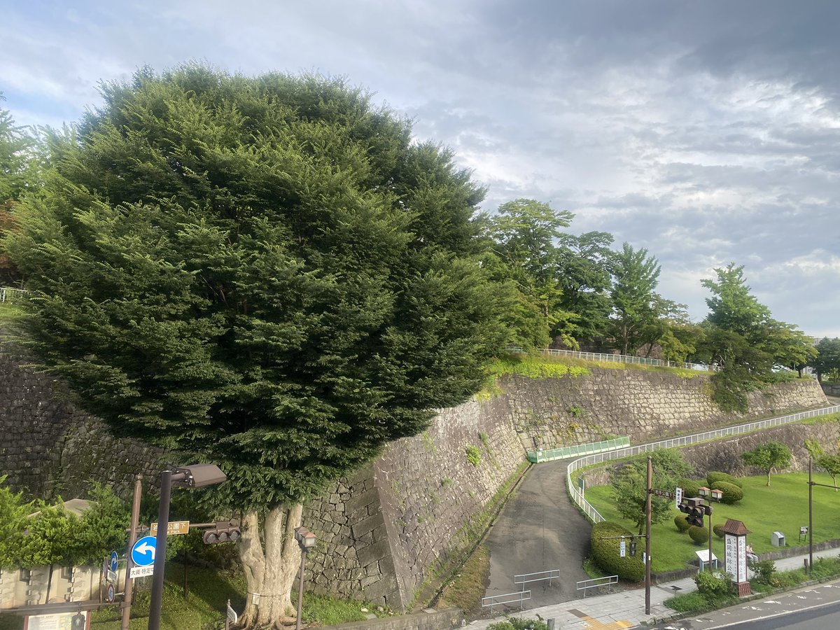 region_partner's tweet photo. 盛岡、現在雨は降っていません😊
お昼頃は急な大雨でびっくりでした〜💦←ちょうど当たった人🙋‍♀️☔️
夕方になり蒸し蒸し感もすこーし落ち着いた気がしますね◎
お帰りの際は皆様どうぞお気をつけてご移動ください✨
#盛岡城跡公園
#岩手公園
#イマソラ
#盛岡
#岩手
#税理士
#会計士
#経営コンサル https://t.co/7oHPBB9hQb