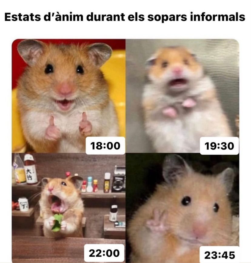 Joves Intrèpids tweet media