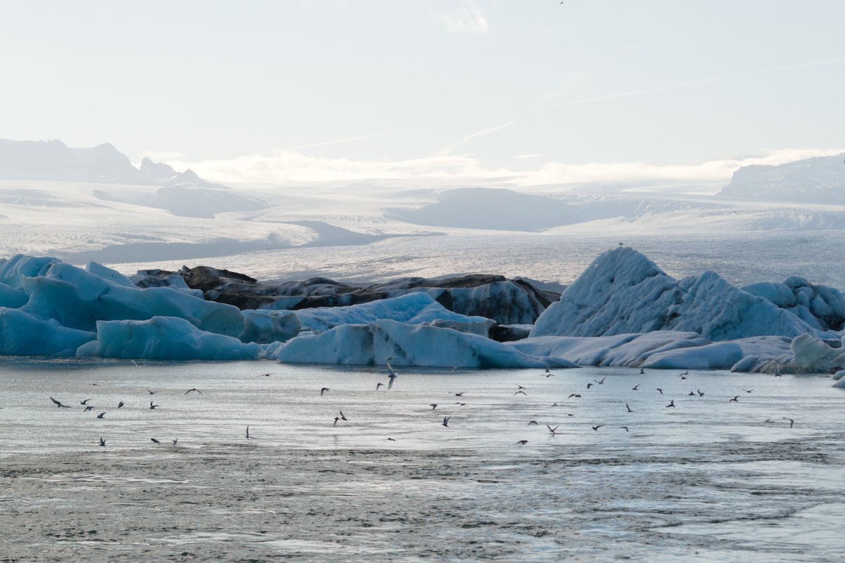 Katie Featherstone (Scotland/Iceland) tweet media