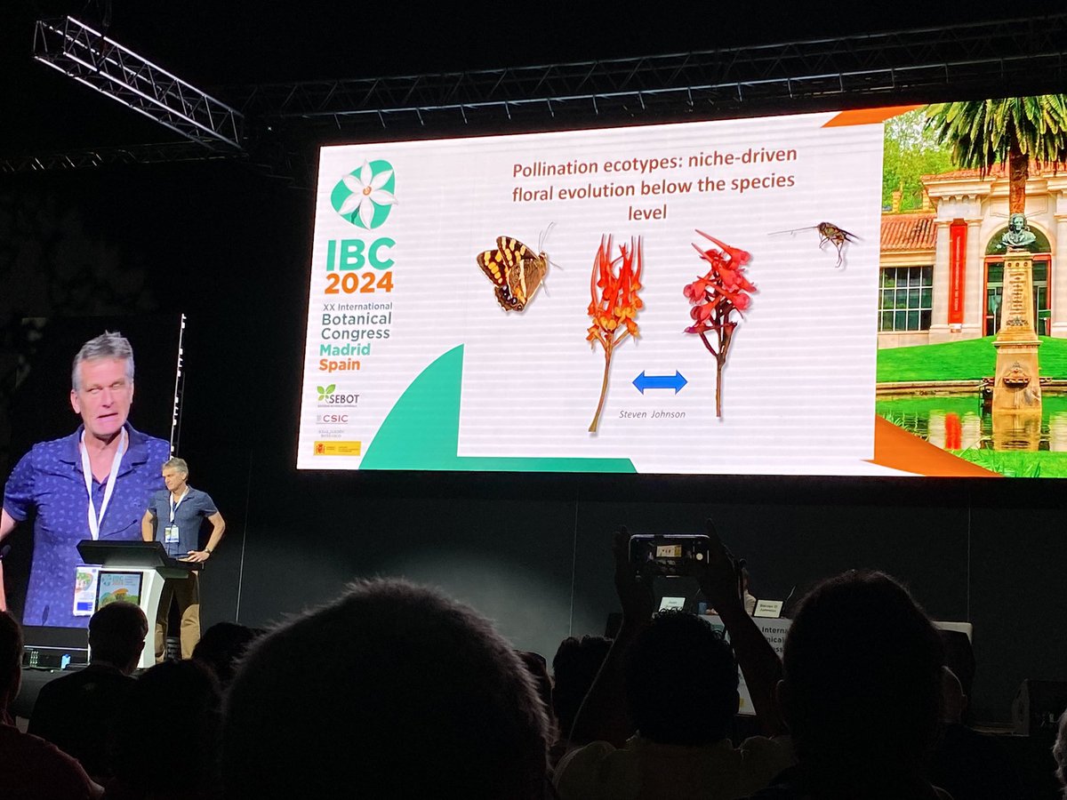 GalloniMarta's tweet photo. Pollination eco types and floral evolution keynote lecture by  Steven Johnson this morning at #IBC2024 ! https://t.co/lFkMF9UXDD