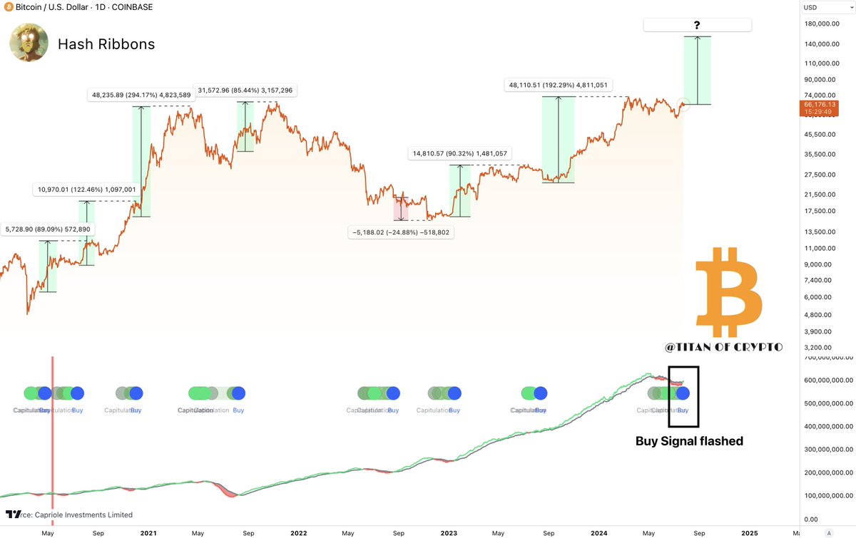 Bitcoin Rally Imminent! 🚀 The Hash Ribbons indicator just flashed a buy  signal on the daily chart. Out of the last seven times, this resulted in a  rally. Brace yourselves.