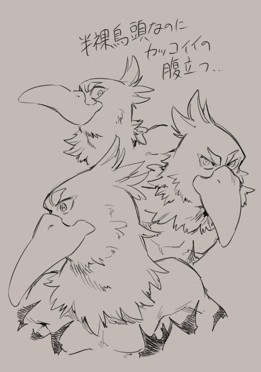 サンラクさん… 