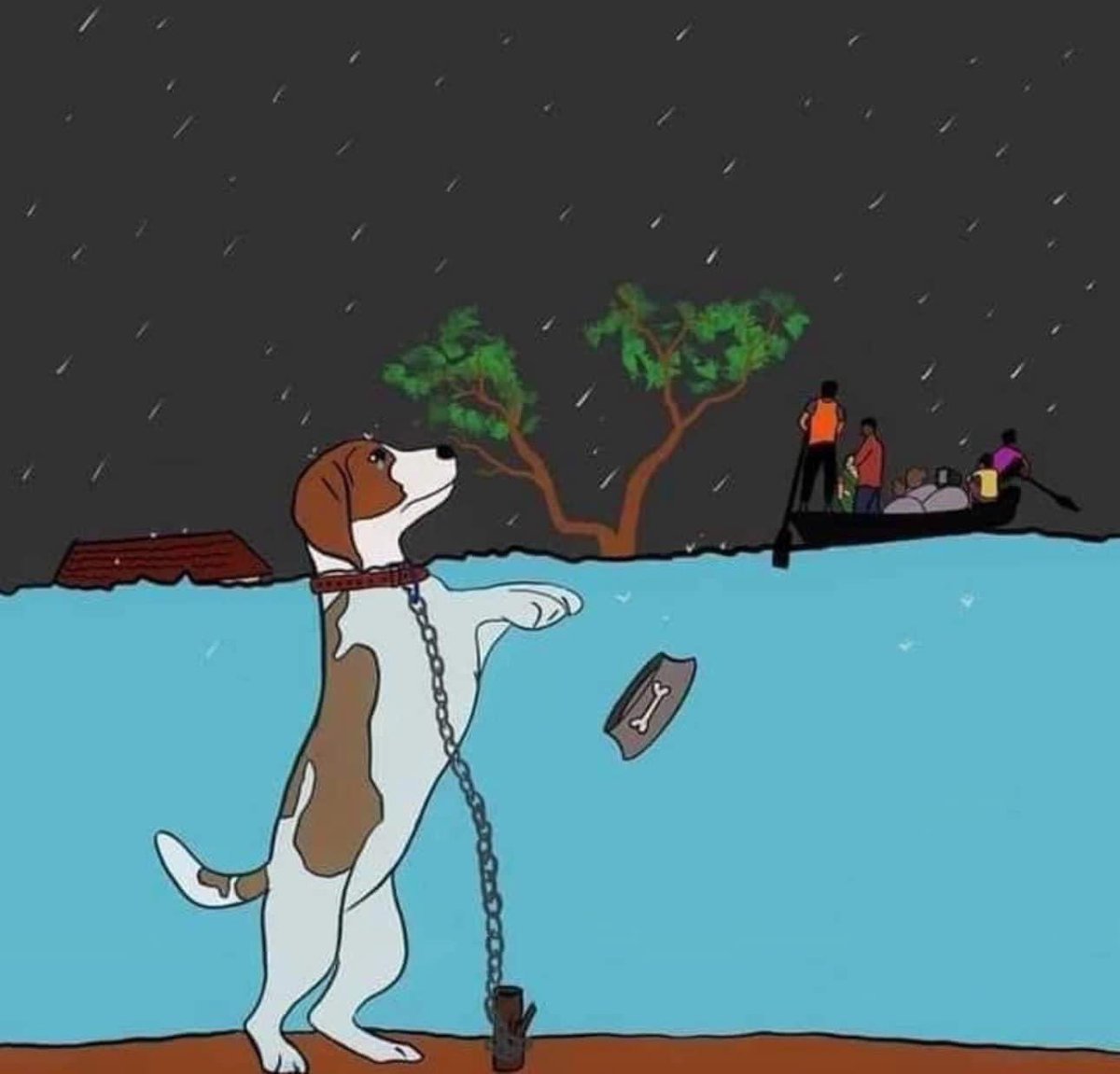 Smart_Drayy tweet media