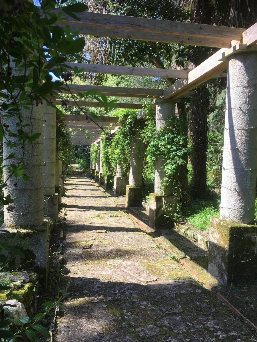 Stephen Parker tweet media