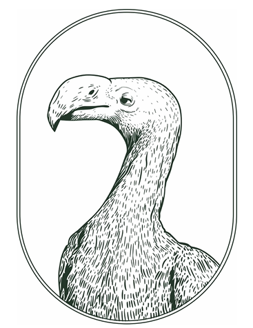 Capital Coffee Roasters tweet media