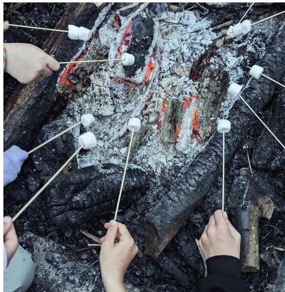 Last night FAB Trefoil joined <a href="/flitwickguides/">Girlguiding Flitwick District</a> at their end of Camp, camp fire. Songs were sung, well loved ones and some new ones introduced by the girls and s’mores were made and eaten. <a href="/TrefoilGuild/">Trefoil Guild UK</a>
