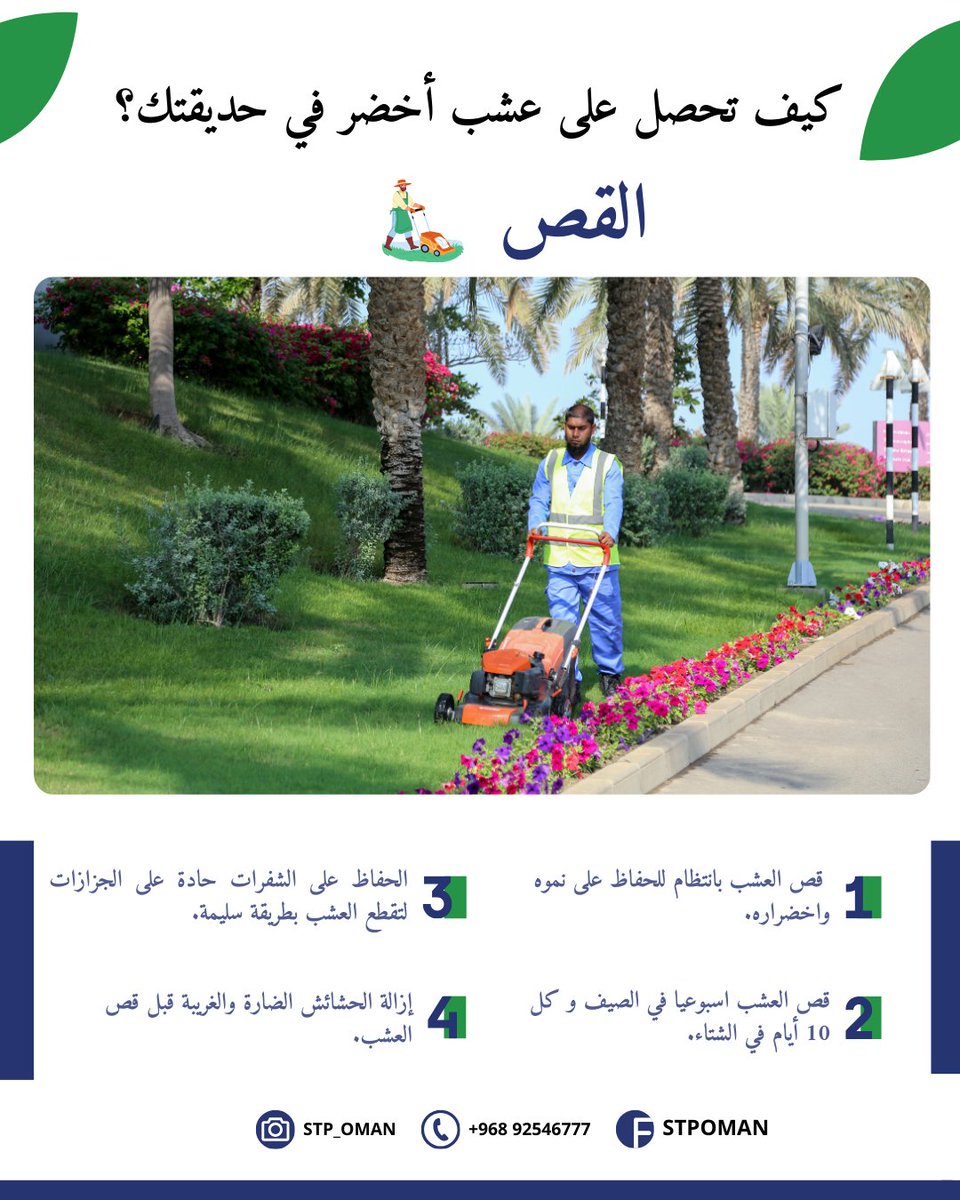 STP_Oman's tweet photo. كيف تحصل على عشب أخضر في حديقتك؟
2-القص ✂️
#landscaping 
#irrigation 
#stpoman https://t.co/mVwMn1FpOj