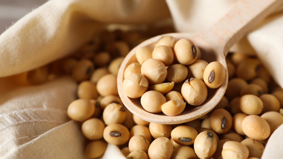 United Soybean Board approves US$173.8M budget for FY 2025 millingmea.com/united-soybean… 
#grainindustry #commoditytrading #soybean #investment #usa