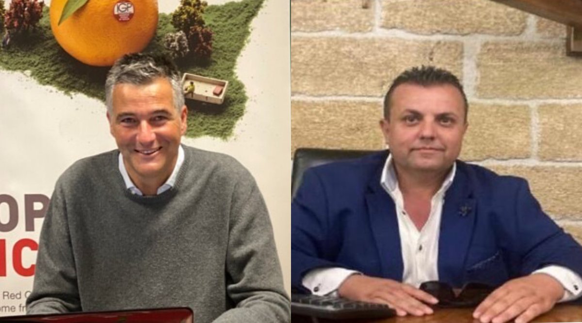 Siccità, I consorzi di tutela Arancia Rossa di Sicilia IGP e Arancia di Ribera Dop chiedono aiuti immediati dlvr.it/TB0NCl