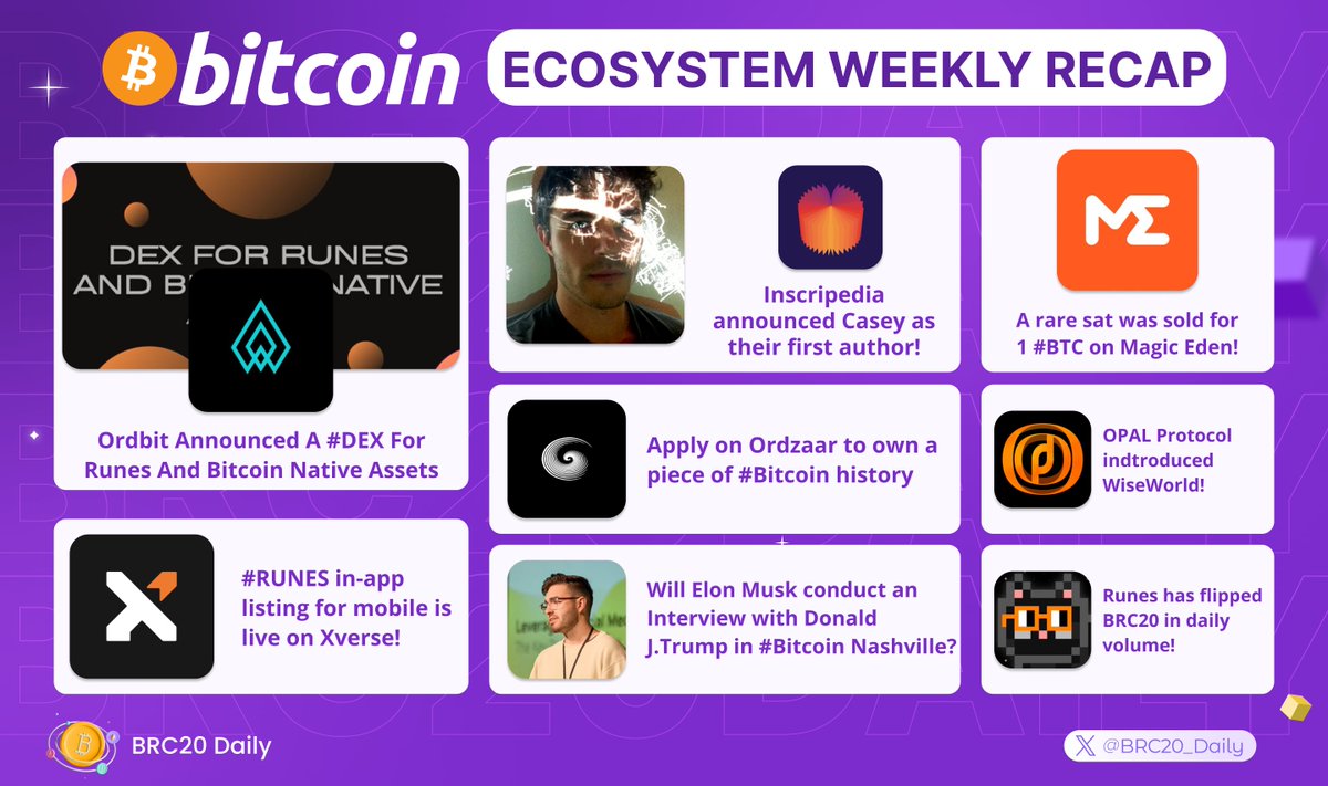 BRC20 Daily tweet media