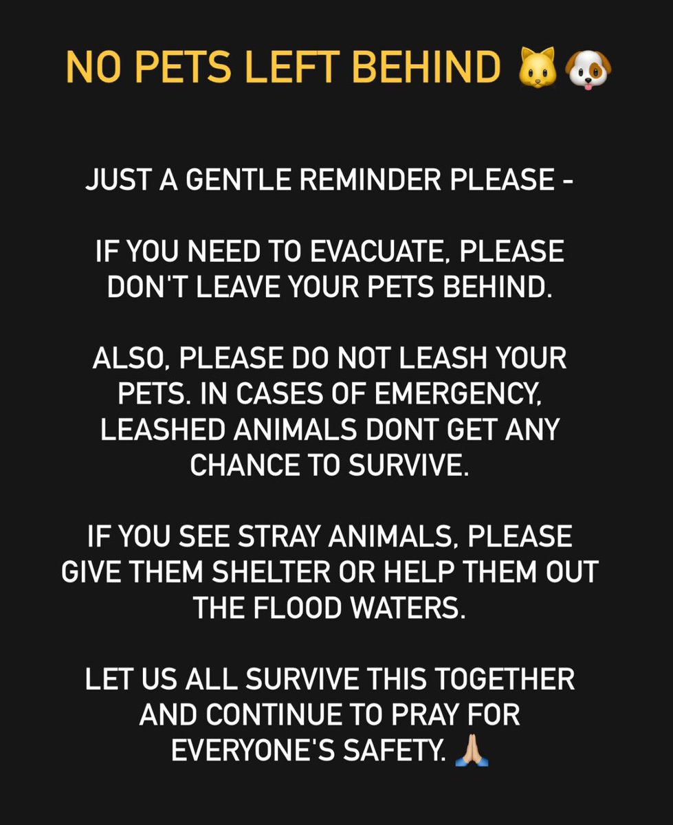xeejo's tweet photo. No pets left behind please 🙏🏻

#CarinaPH https://t.co/pZ6i5Iuc4w
