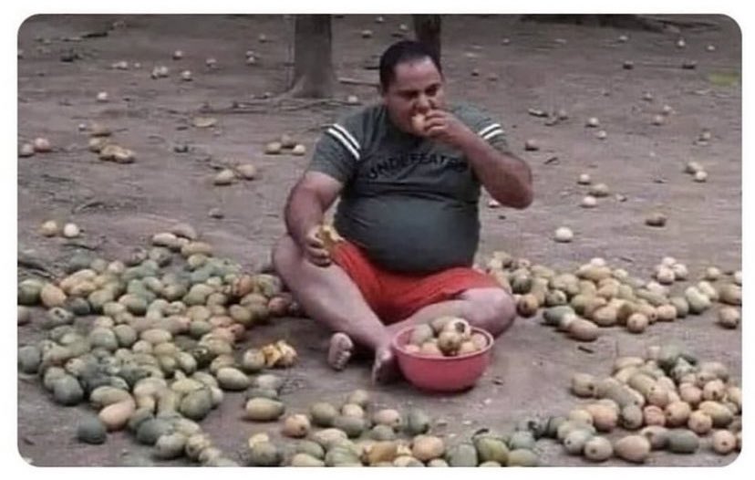 “Deve ser cheio de frescura”

Eu no Monte do Carmo na época de manga 👇🏾