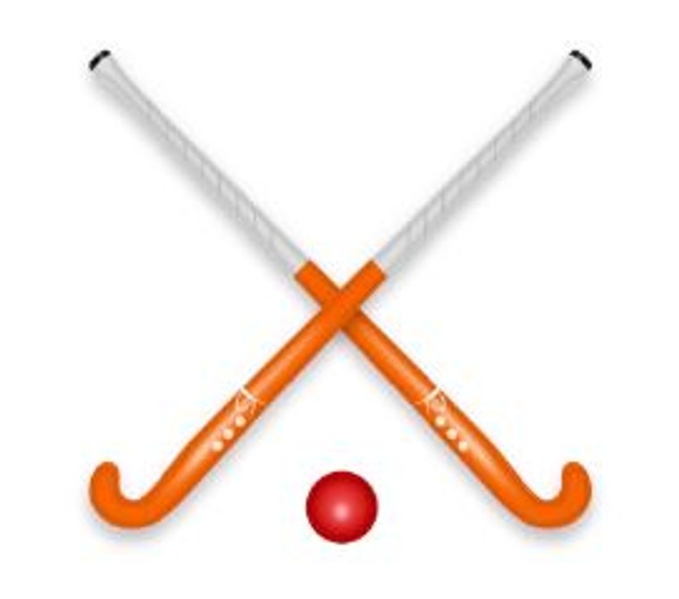 Super Sticks and Marlow Masterclass 2024 #Pitchero
marlowhc.co.uk/news/super-sti…