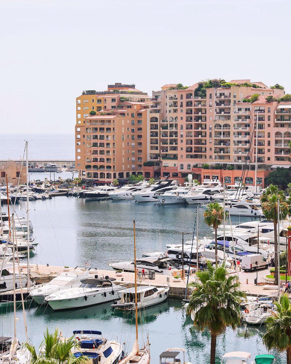 Caroli Com tweet media